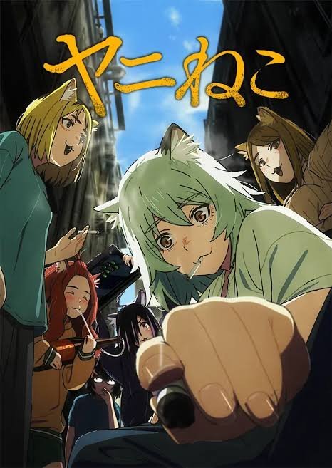 CAT001 尼古喵喵第1~12話(已完結)(贈品區)